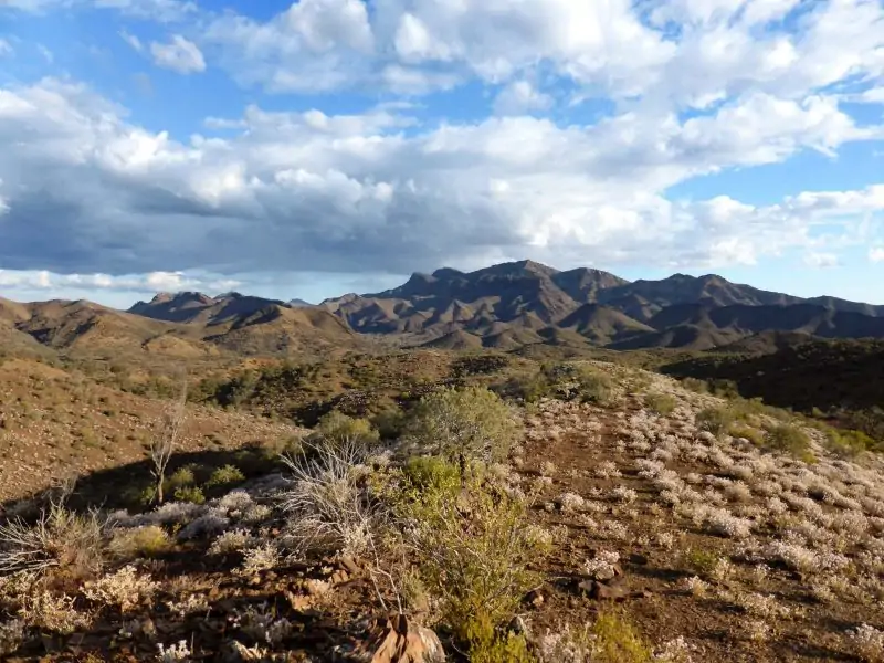 Flinders Ranges, SA