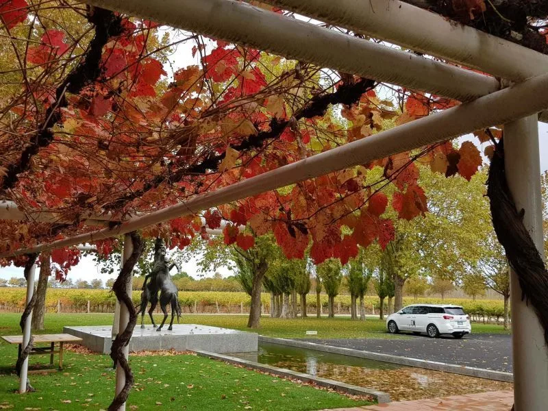<i class="fal fa-copyright"></i> Coonawarra Experiences